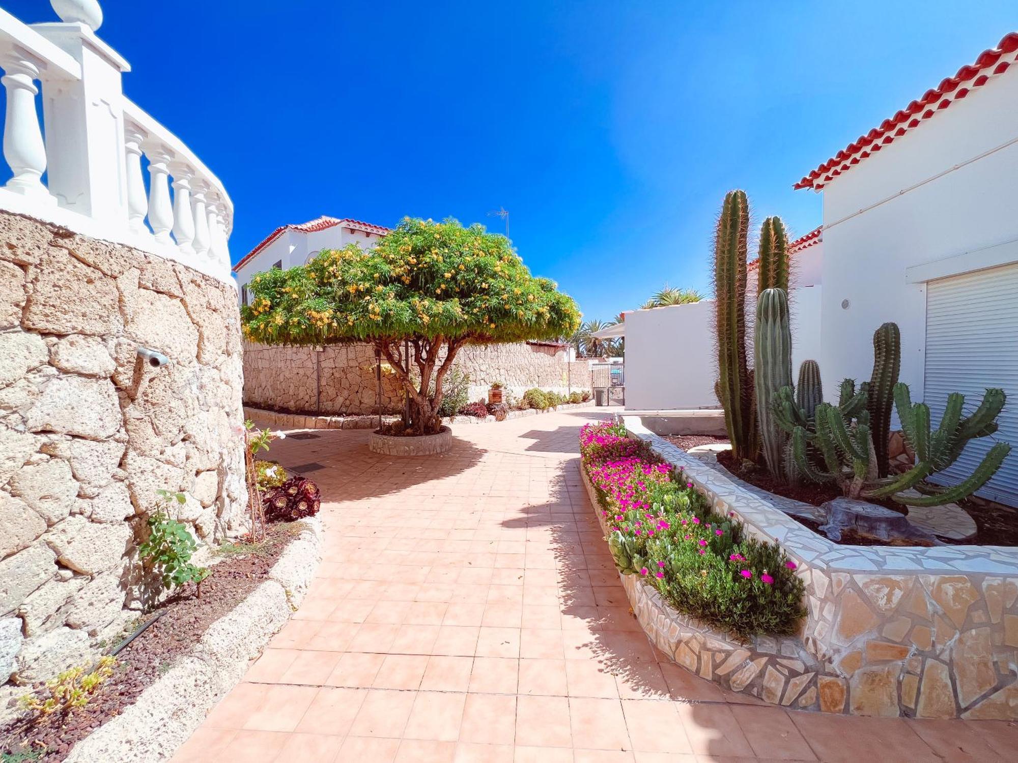 Studio In Paraiso Royal, Playa De Las Americas Kültér fotó
